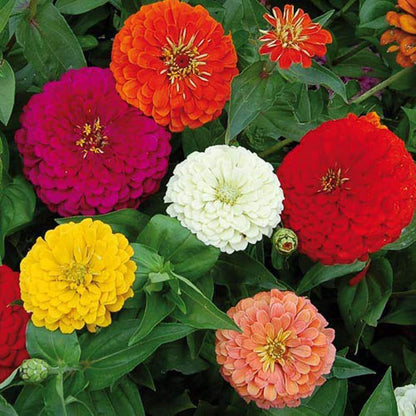 8340